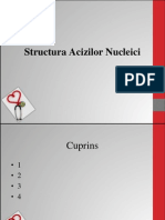 acizi nucleici