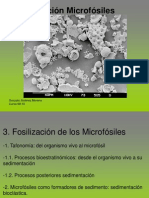 Fosilizacion Microfosiles