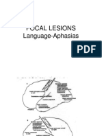 Focal Lesions Language Aphasias