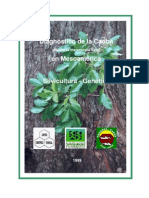 Caoba Real PDF