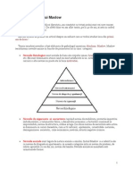 75369257 Despre Piramida Lui Maslow