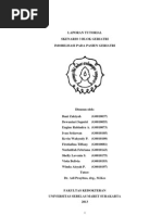 Download Laporan Skenario 3 Geriatri 200413 by Shelly Lavenia SN138596004 doc pdf