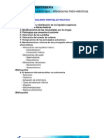 Alteraciones Hidroelectricas