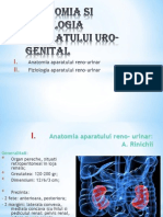 Anatomia Si Fiziologia Aparatului Uro-Genital