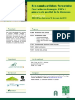 Solsona_biocombustibles forestals_100513_1551.pdf