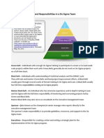 Roles and Responsibilities in A Six Sigma Team