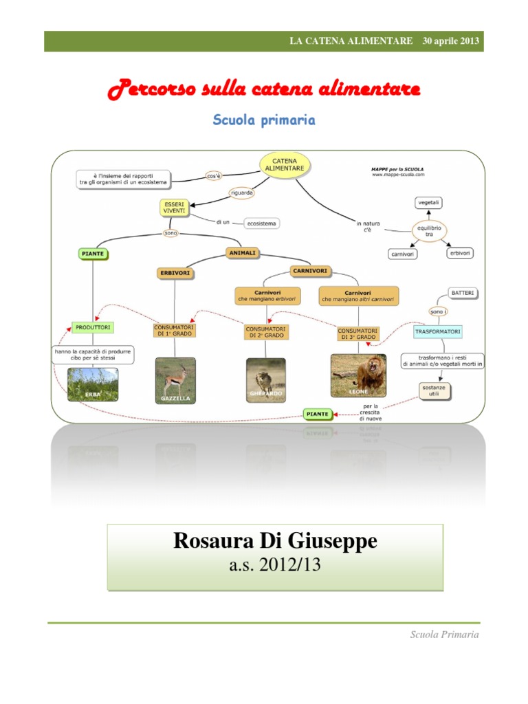 Esempio Di Catena Alimentare Scuola Primaria