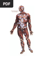 Download     doc by Jihad Anad SN138697723 doc pdf
