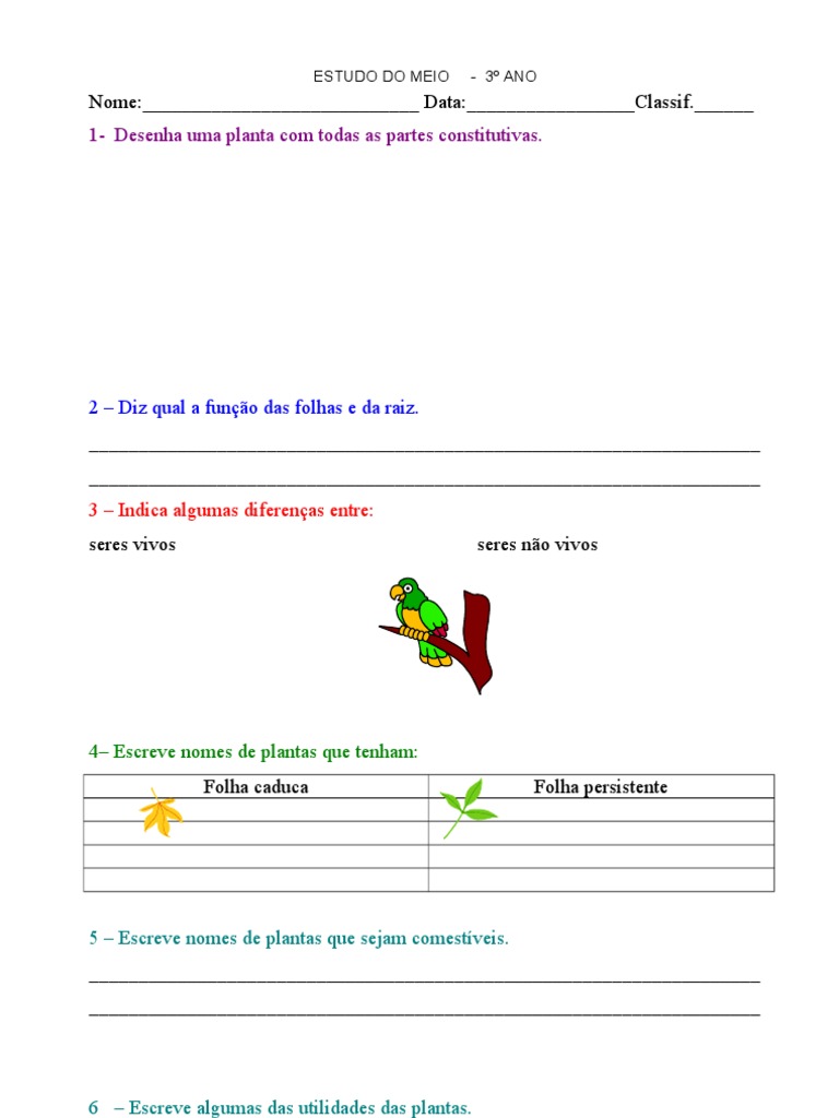 Ficha De Estudo Do Meio 3º Ano Pdf Plantas Rio