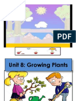 Unit 8 Growing Plants (Observation)