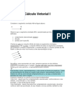 Calculo Vetorial I [Paulo Marques].doc
