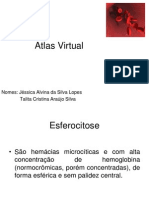 Atlas Hematologia