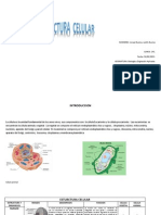 Trabajo de Biologia (1)