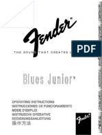 Blues Junior Manual (2)
