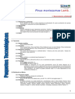 971pinus Montezumae PDF
