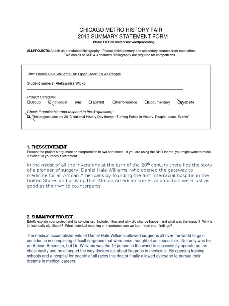 Summary Statement Form 2013 | PDF | Hospital | Physician