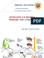 Genetica Molecular. Gen y Genoma I