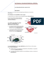 1ra, 2da, 3ra Semana de Desarrollo Embrionario