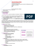 Funciones Motoras Del Estómago. Vómito