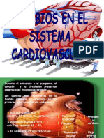 cambios cardiovasculares.ppt