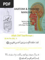 Download Anatomi Fisiologi Manusia Modul by Mitha Arya Kirani Mitha SN138830357 doc pdf