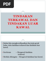 12 4 Tindakan Terkawal Dan Luar Kawal Flip Ebook Pages 1 13 Anyflip Anyflip
