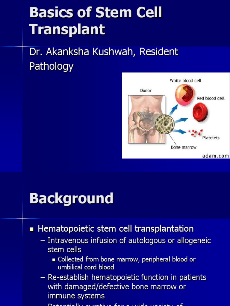 Basics of Stem Cell Transplant | PDF | Hematopoietic Stem Cell ...