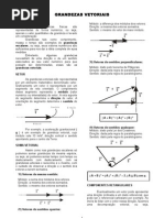 MEC 007 Grandezas Vetoriais