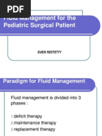 Neonatal Resuscitation Algorithm For Zambia | PDF | Breathing ...