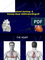 Ntcm Ekg 1 Dasar