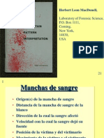 Patrones de Las Manchas de Sangre PDF