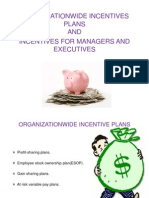 Organizationwide Incentives Plans AND Incentives For Managers and Executives