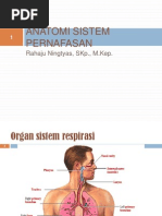 Download Sistem Pernafasan  by Eyzan Rashid Noriey SN138911366 doc pdf