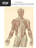Download Atlas of Human Anatomy by Luis S Guilln SN138914249 doc pdf