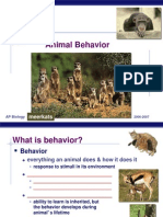 Animal Behavior: Meerkats