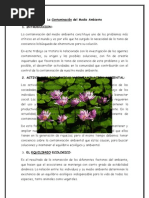 contaminacion_ambiental(ylt)