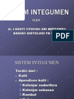 10837738 Sistem Integumen