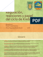 Regulacion, Reacciones y Papel Del Ciclo de Krebs