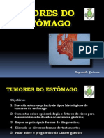 Tumores Do Estômago 2009