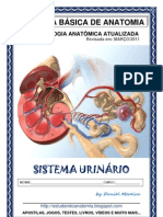 Sistema Urinario Completa 110323183032 Phpapp02