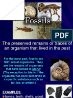 Fossils Notes