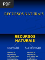 25308967-Recursos-Naturais.ppt