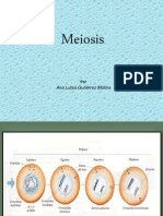 Meiosis Pres