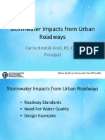 Workshop C Urban Freeway Design - Ways To Reduce Negatives For Surface Waters Carrie Bristoll-Groll