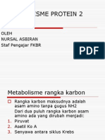 Metabolisme Protein 2