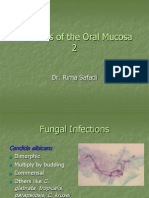 Infections of the Oral Mucosa 2 (Slide 12 +13)