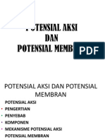 Potensial Aksi Dan Potensial Membran