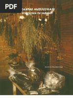 Plantas Medicinais Coletaneas de Saberes