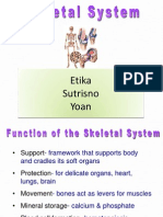 011 Skeletal System