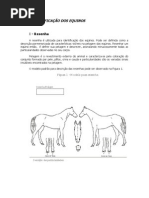 [Resenha] Identificação dos equídeos - Resenha.pdf
